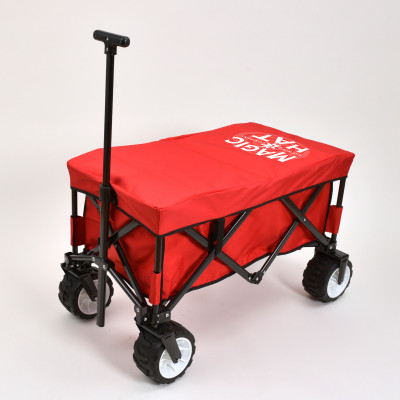 Folding Beach Wagon